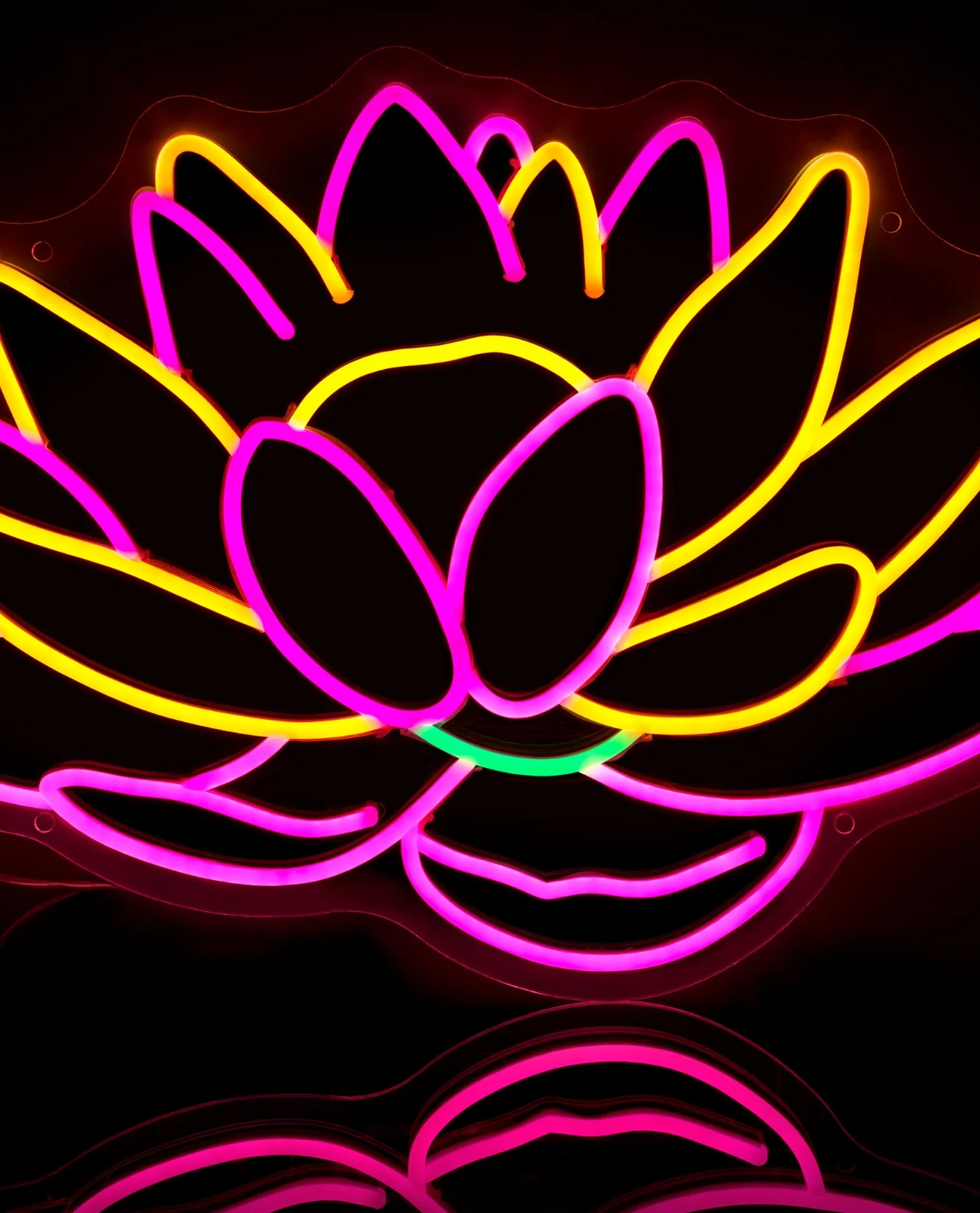 Chila Burman Limited Edition LED Neon Lotus - Image 3